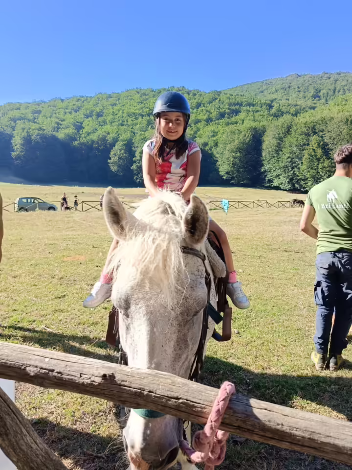 WhatsApp Image 2024-07-17 at 2.00.30 AM