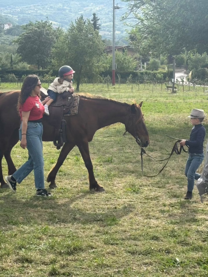 WhatsApp Image 2025-06-03 at 2.01.23 PM