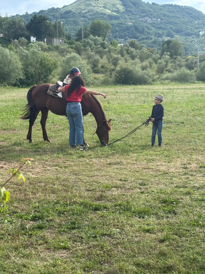 WhatsApp Image 2025-06-03 at 2.02.12 PM