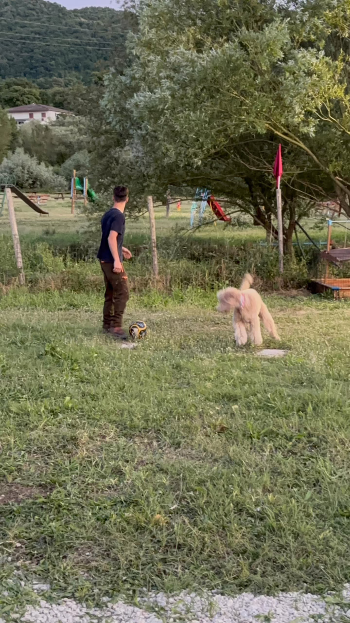 WhatsApp Image 2025-06-03 at 2.03.13 PM (2)