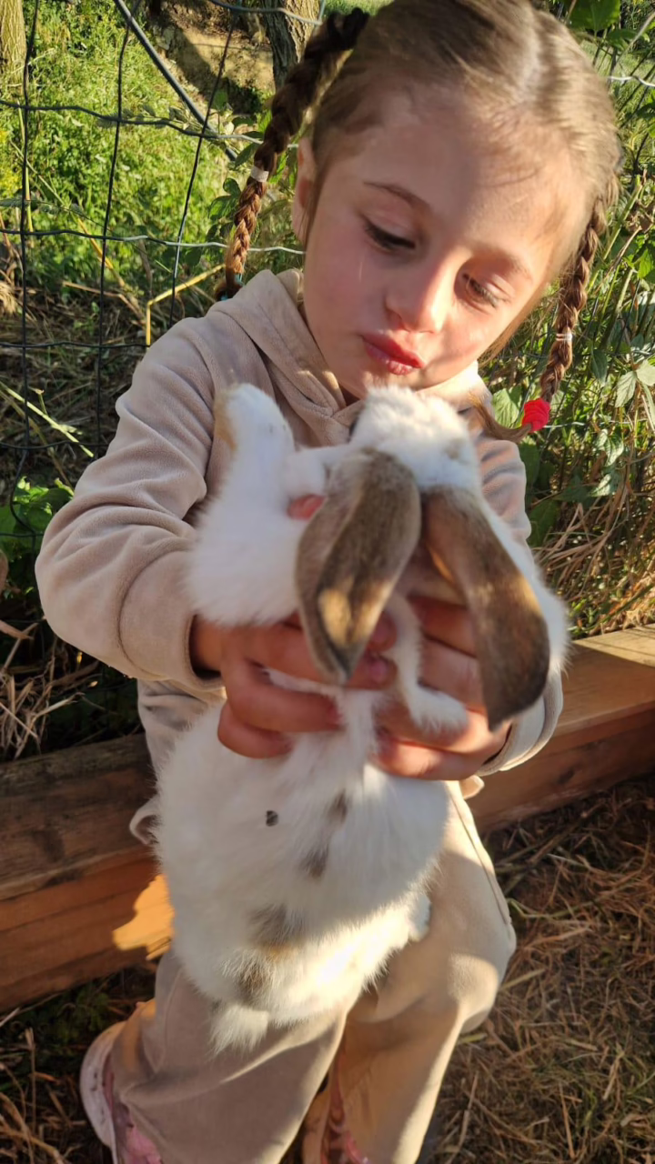 WhatsApp Image 2025-06-03 at 2.03.13 PM (3)