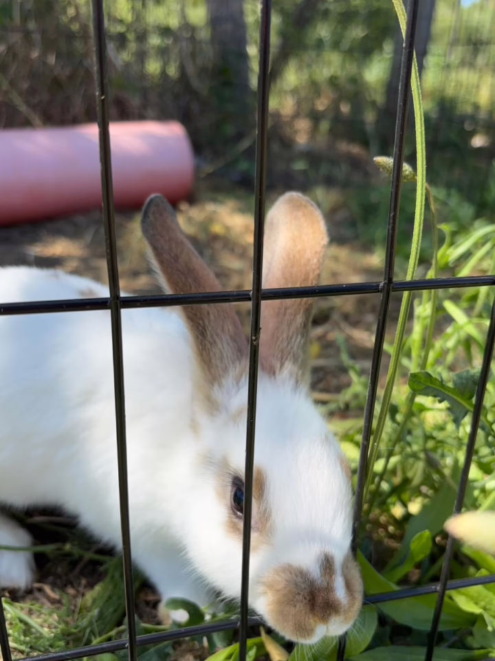 WhatsApp Image 2025-06-03 at 2.03.17 PM (4)