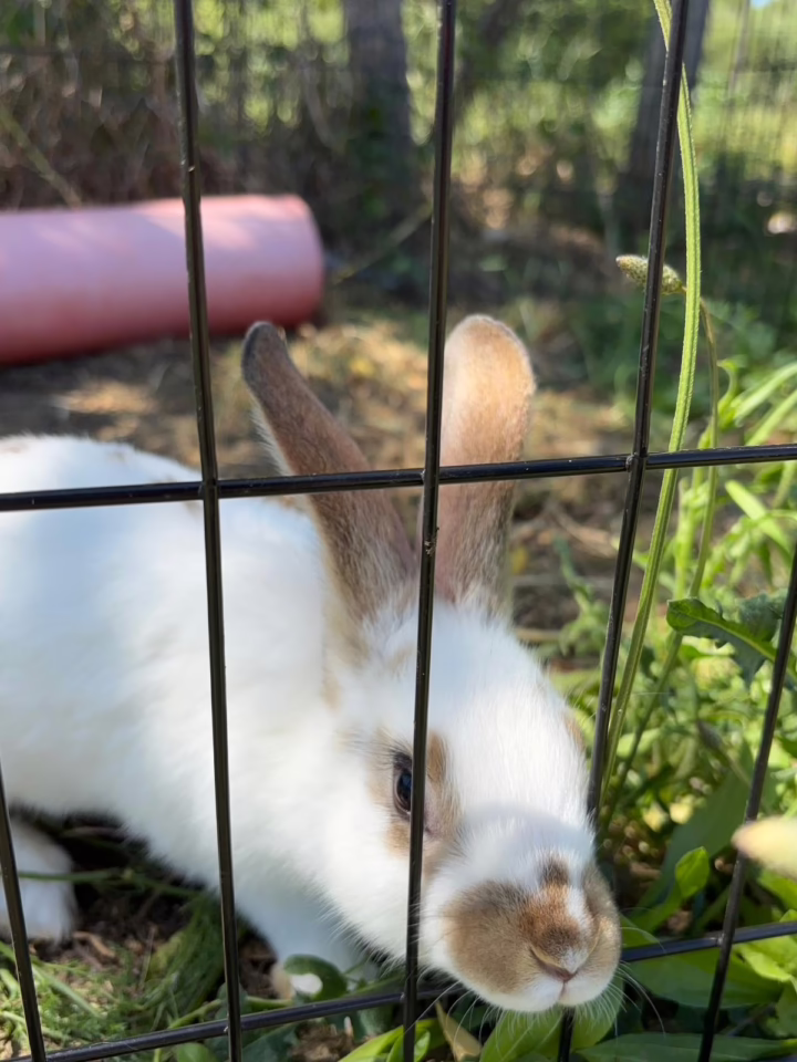 WhatsApp Image 2025-06-03 at 2.03.17 PM (5)