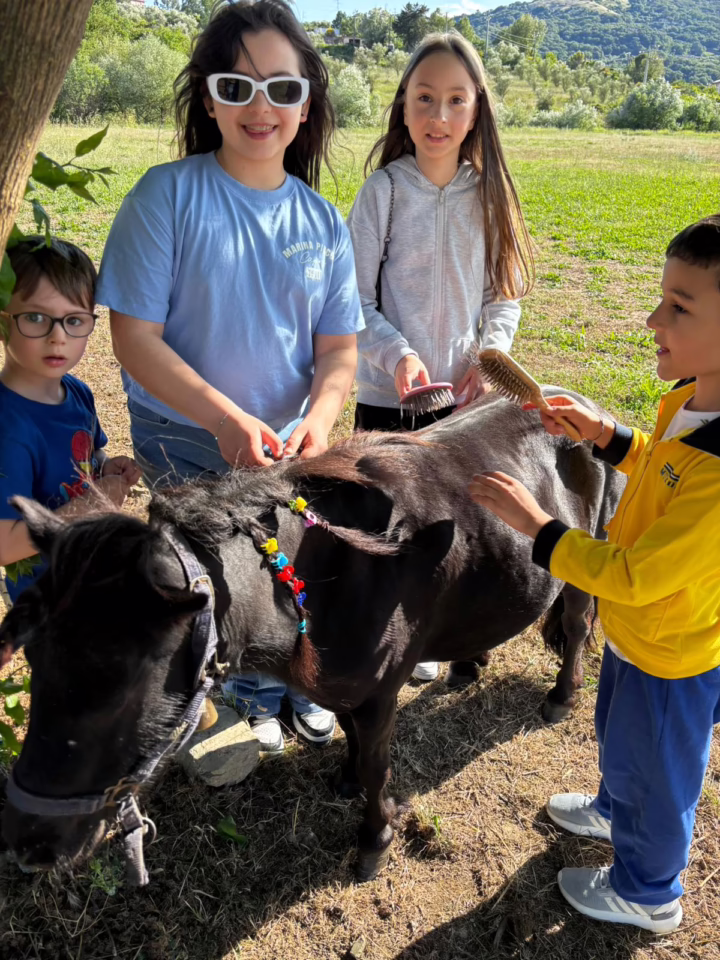 WhatsApp Image 2025-06-03 at 2.03.17 PM