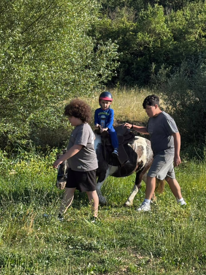 WhatsApp Image 2025-06-03 at 2.04.11 PM (1)