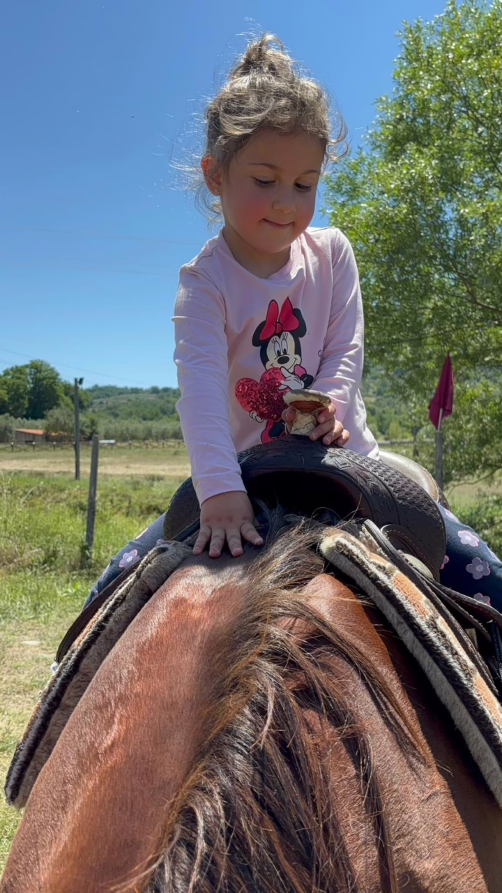 WhatsApp Image 2025-06-03 at 2.04.13 PM (1)